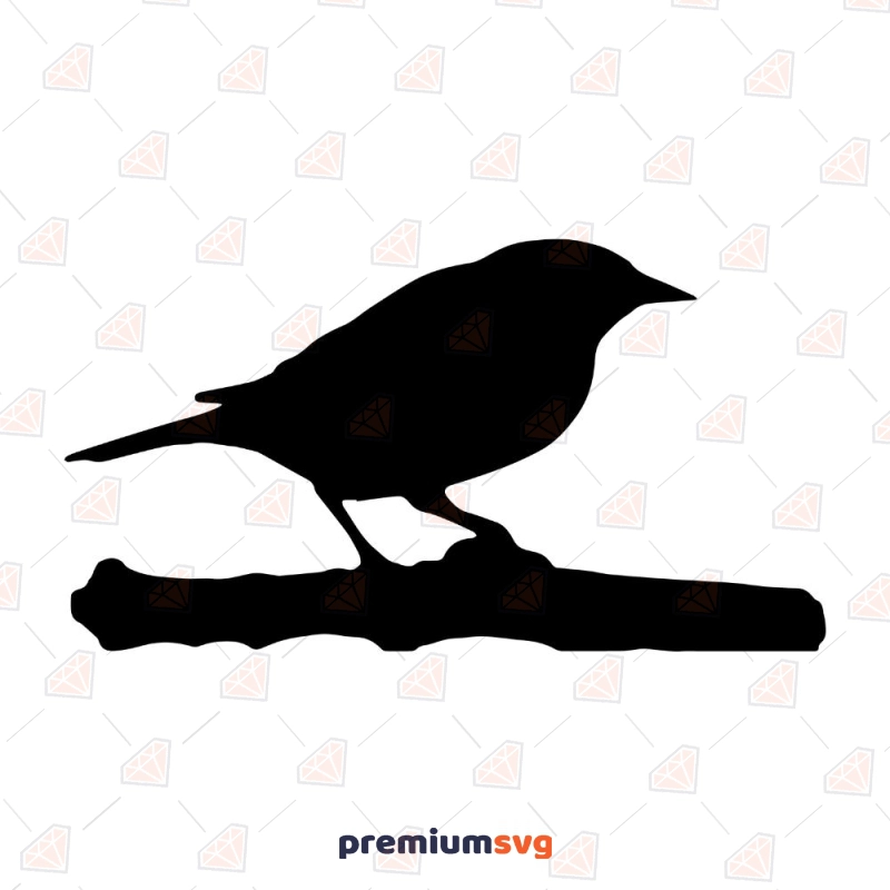 Bird On Branch Silhouette, Muscicapidae SVG Vector Bird SVG Svg