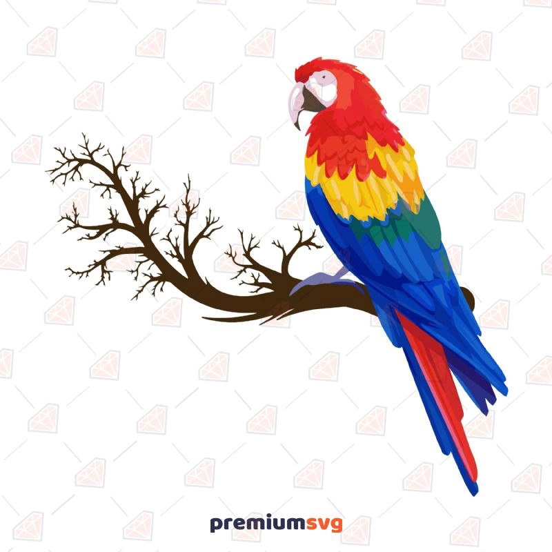 Parrot Over Branch SVG File, Parrot on a Branch Vector Instant Download Wild & Jungle Animals SVG Svg