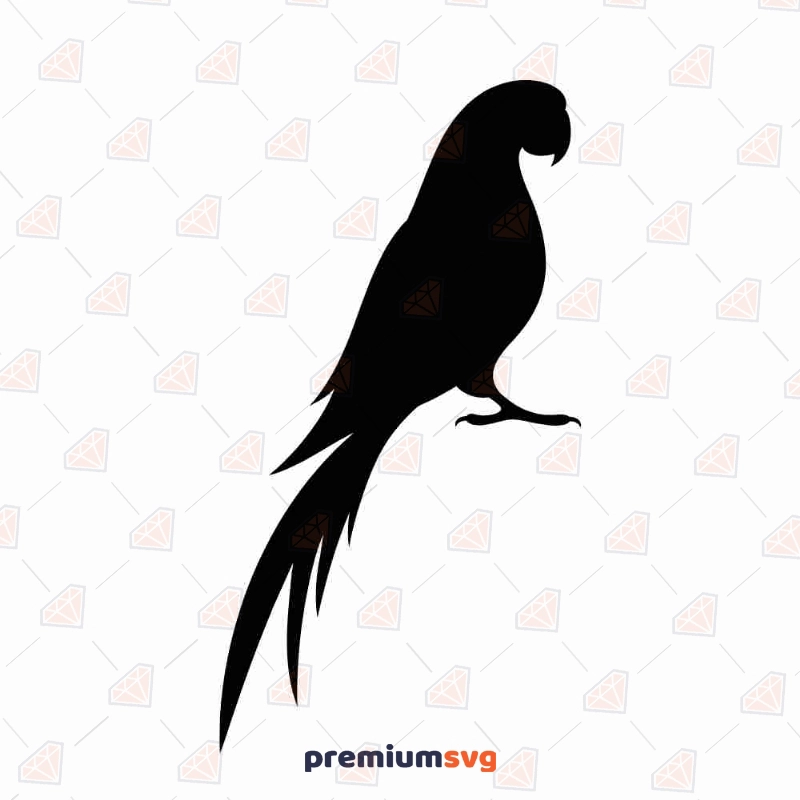 Parrot Silhouette SVG Cut, Parrot Vector File Instant Download Bird SVG Svg
