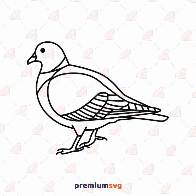 Black and white line art of a pigeon. intricate detail. colouring book  style on Craiyon