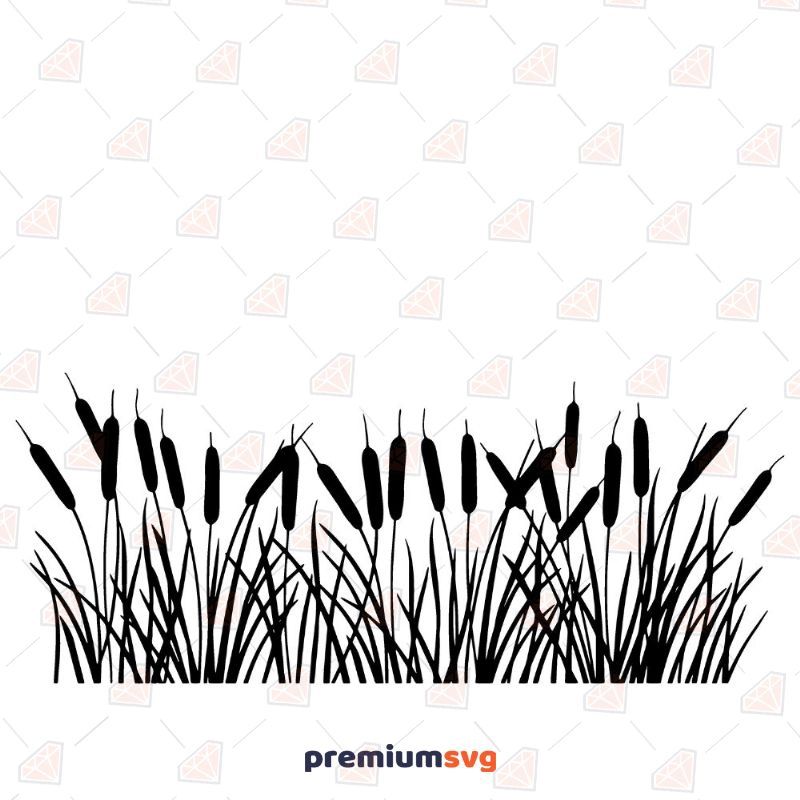 Reed Clipart Black And White SVG, Reed Line SVG Instant Download Flower SVG Svg