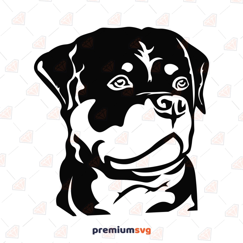 Rottweiler Face SVG, Silhouette Vector File Dog SVG Svg