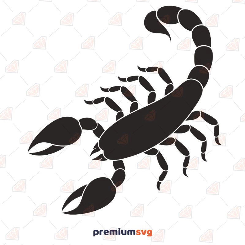 Scorpio SVG, Scorpio Vector Instant Download Sea Life and Creatures SVG Svg