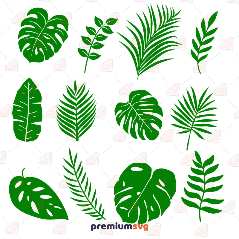 Tropical Leaves SVG, Monstera Leaves Clipart SVG Flower SVG Svg