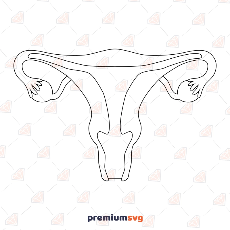 Uterus Outline SVG Cut File, Uterus Clipart Instant Download Anatomy (Skeleton And Skull) Svg