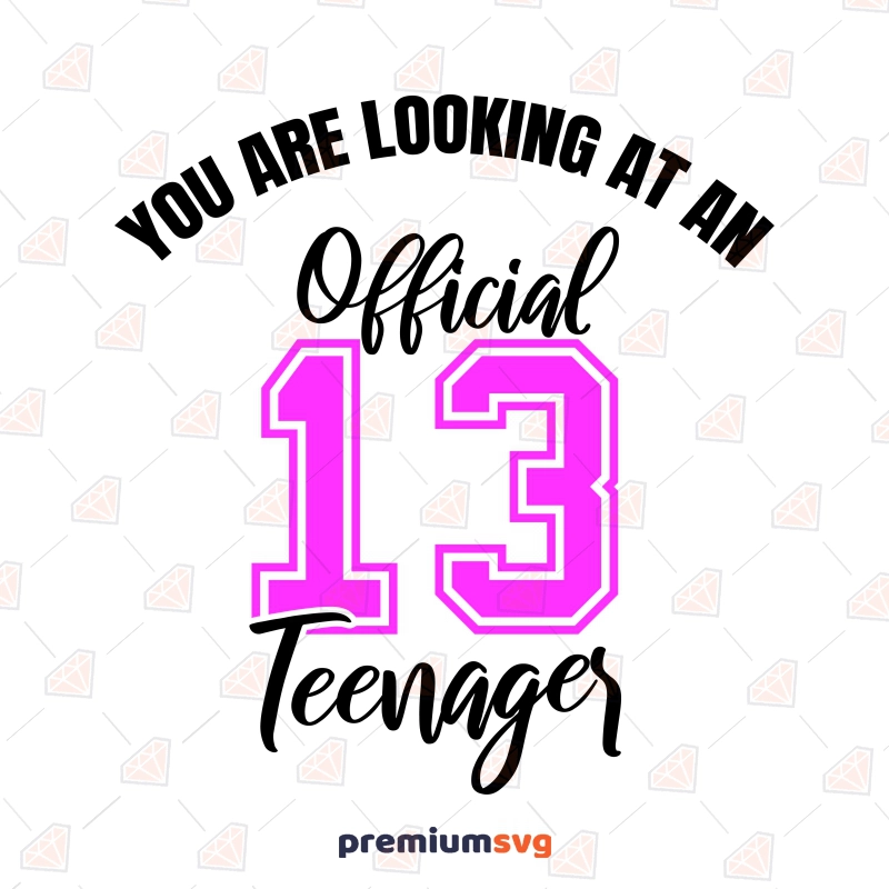 You Are Looking At An Official Teenager SVG, 13th Birthday SVG Birthday SVG Svg