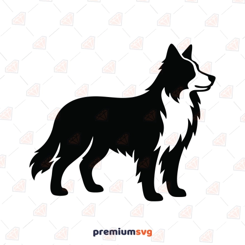 Border Collie Silhouette SVG Design – Standing Border Collie | PremiumSVG