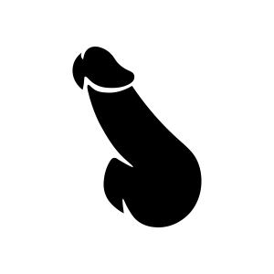 Penis SVG File, Bachelorette SVG Cut File for Cricut and Silhouette Funny SVG