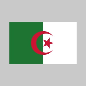 Algeria Flag SVG, Algeria Flag PNG and Vector Files Flag SVG