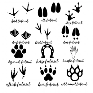 Animal Tracks Bundle SVG, Animal Footprints Clipart Cut Files Wild & Jungle Animals SVG