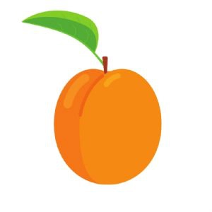 Apricot Vector SVG file Fruits and Vegetables SVG