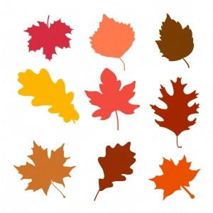 Autumn Fall Leaves SVG Cut & Clipart Files Leaves SVG
