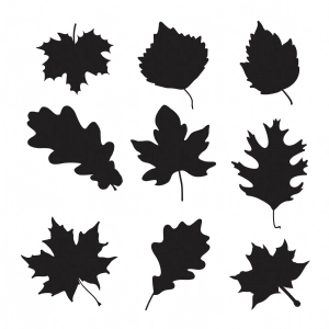 Basic Fall Leaves SVG Cut Files, Leaves Bundle Clipart SVG Leaves SVG