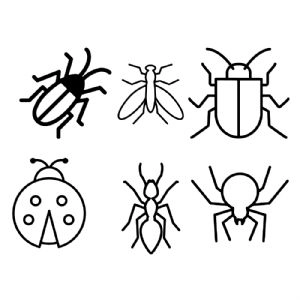 Basic Insect SVG Bundle Insects/Reptiles SVG