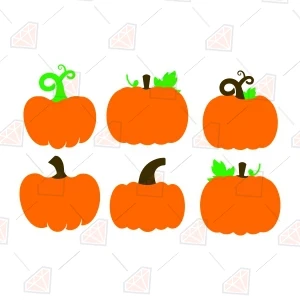 Basic Orange Pumpkins SVG Cut File, Pumpkin Bundle