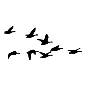 Bird Flocks SVG Silhouette Cut and Clipart Files Bird SVG