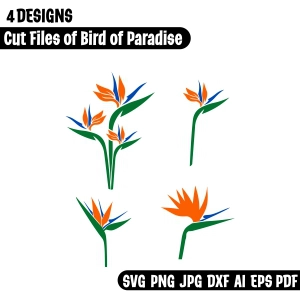 Bird of Paradise SVG Cut Files Bird SVG