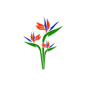 Bird Of Paradise SVG, Tropical Flower SVG Bird SVG