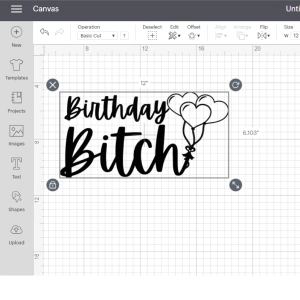 Birthday Bitch SVG Vector Files, Birthday Bitch SVG Files Birthday SVG