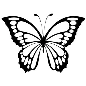 Black and White Butterfly SVG, Layered Butterfly SVG Butterfly SVG