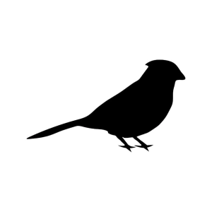 Cardinal Silhouette SVG Bird SVG