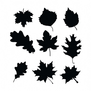 Black Fall Leaves SVG Cut & Clipart Files Flower SVG