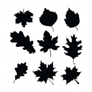 Black Fall Leaves SVG Cut & Clipart Files Leaves SVG