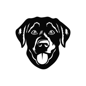 Black Lab Face Silhouette SVG, Vector File Dog SVG