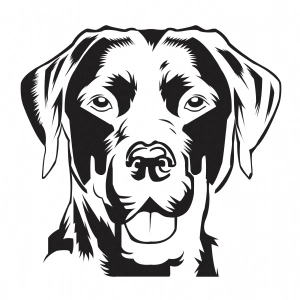Black Labrador SVG Cut File, Labrador Vector Instant Download Drawings