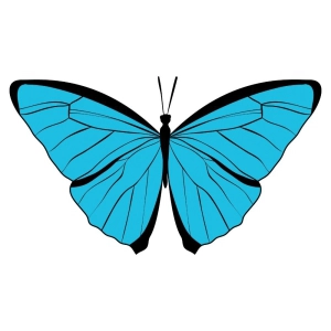 Blue Butterfly SVG Design Insects/Reptiles SVG