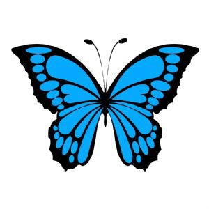 Blue Butterfly SVG Cut File Butterfly SVG