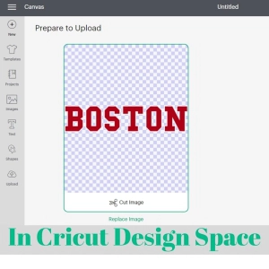 Boston SVG Design for Shirt, Boston Instant Download T-shirt SVG