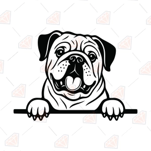 British Bulldog SVG – Peeking English Bulldog Cut File