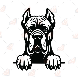 Cane Corso SVG – Peeking Cane Corso Dog Cut & Clipart File
