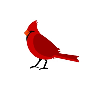 Cardinal Bird SVG, Cardinal Cut Files Bird SVG