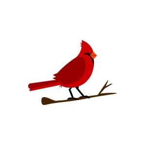 Cardinal on Branch SVG, Bird SVG Bird SVG