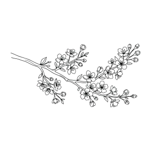 Cherry Blossom Branch SVG File Svg