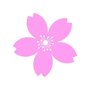 Cherry Blossom SVG Svg