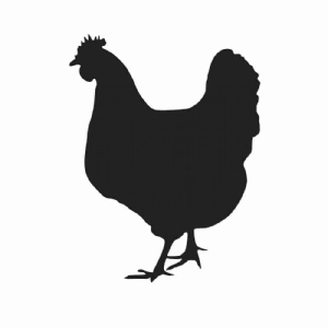 Chicken Silhouette SVG Vector File, Chicken Instant Download Bird SVG