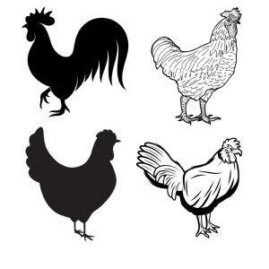 Rooster and Chicken Bundle SVG, Digital Design Chicken SVG