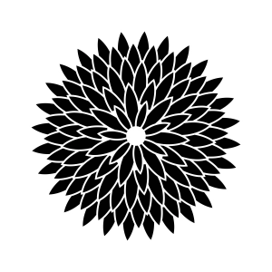 Chrysanthemum Flower SVG Cut & Clipart Files Flower SVG