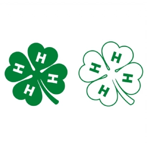 4-H Clover SVG File, Shamrock 4 Leaf with H SVG Shamrock SVG