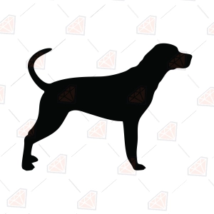 Coon Dog Silhouette SVG – American Coonhound Dog Silhouette