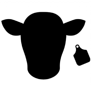 Cow Head with Ear Tag SVG, Cow Head Silhouette Cow SVG
