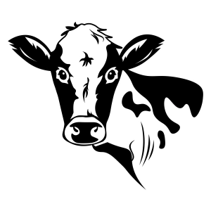 Dairy Cow Head SVG, Angus Face Silhouette Cow SVG