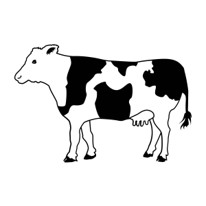 Dairy Cow SVG, Silhouette Clipart and Cut File Cow SVG