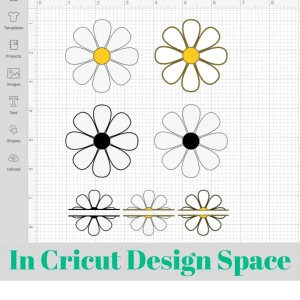 Daisy Bundle SVG Cut File, Flower Bundle SVG Instant Download Flower SVG