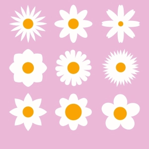 Daisy Flower SVG Bundle, Daisy Bundle Vector Files Daisy SVG