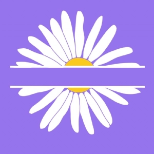 Daisy Monogram SVG, Flower Split SVG Vector Flower SVG
