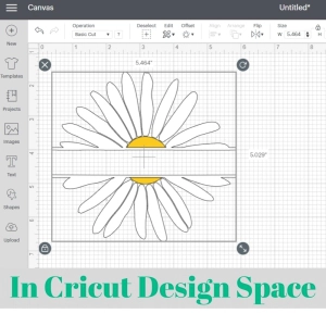 Daisy Monogram SVG, Flower Split SVG Vector Flower SVG